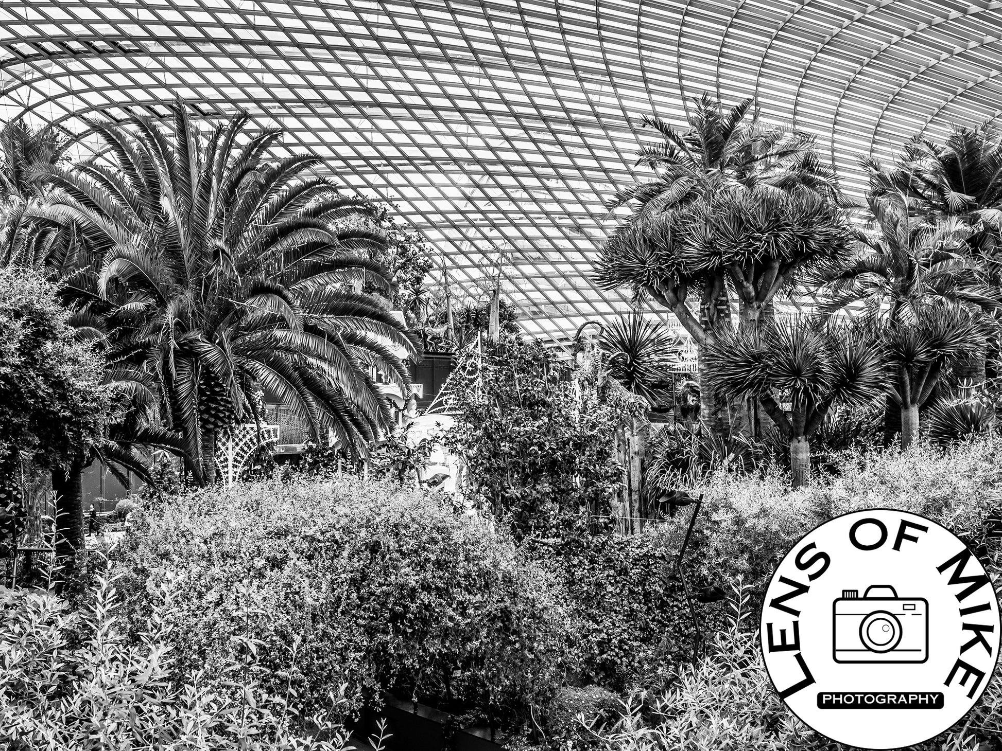 Botanical Conservatory Glass Dome Black and White Print