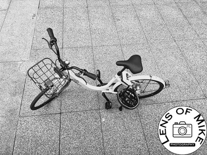 Rideshare Bicycle Overhead Black and White Print