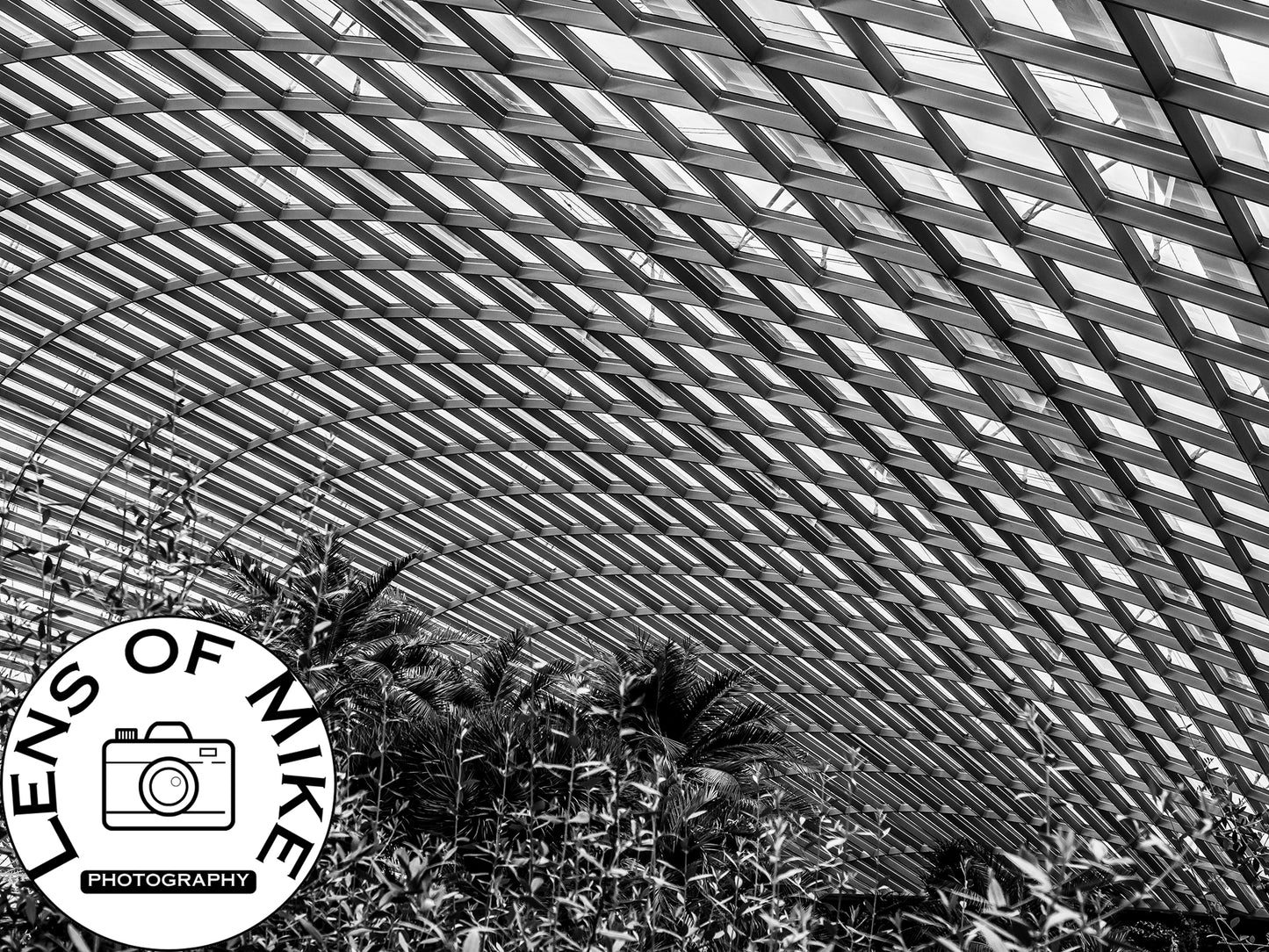Curved Glass Conservatory Dome Black and White Print