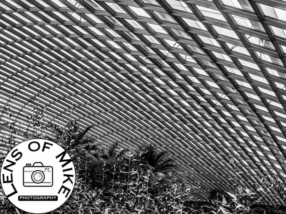 Curved Glass Conservatory Dome Black and White Print