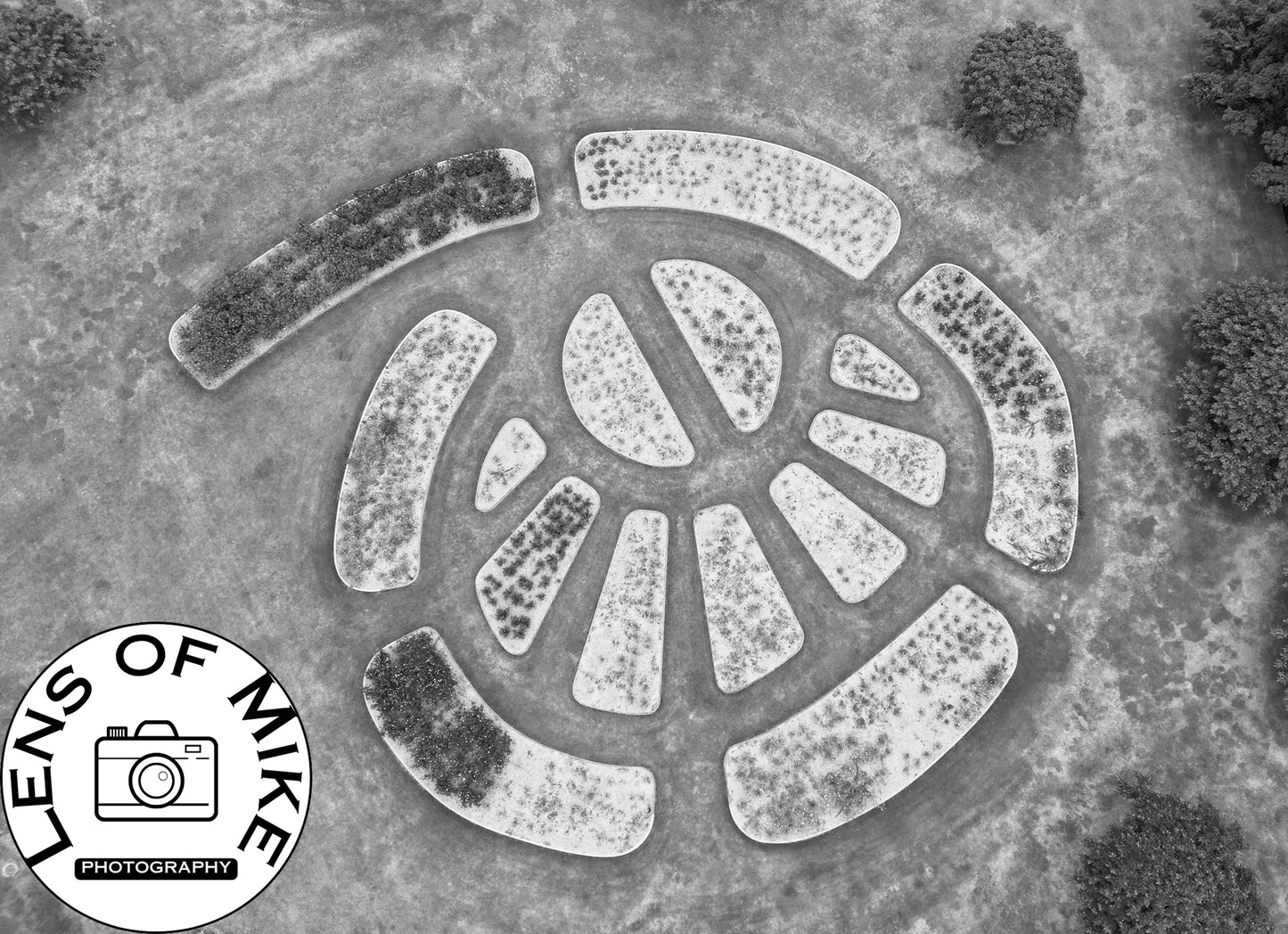 Aerial View of Circular Geometric Garden Beds Black and White Print