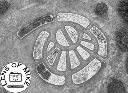Aerial View of Circular Geometric Garden Beds Black and White Print